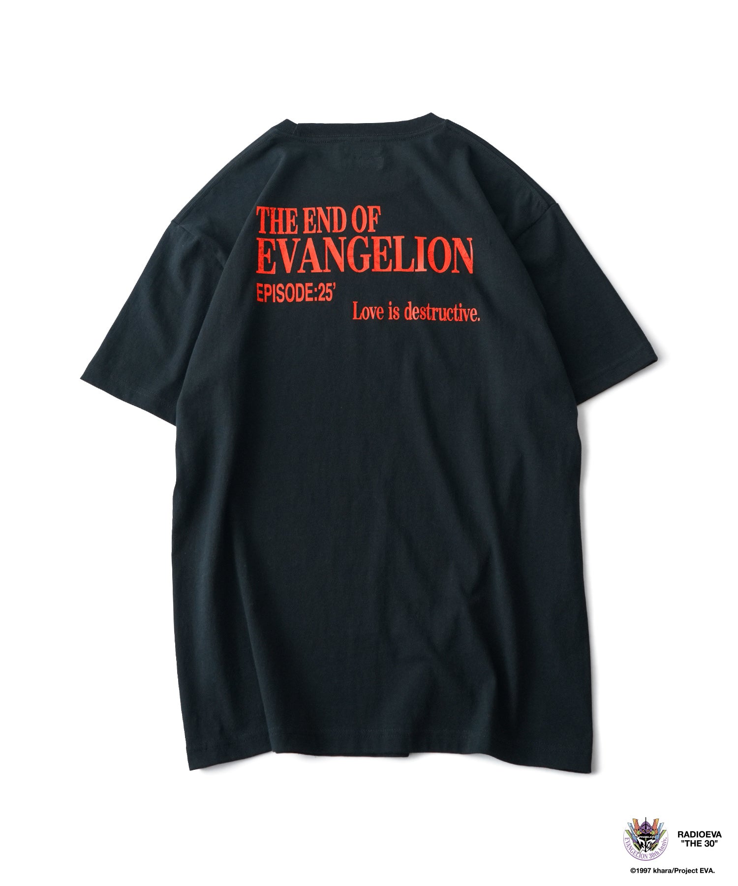 DISC11 (ASUKA) TEE